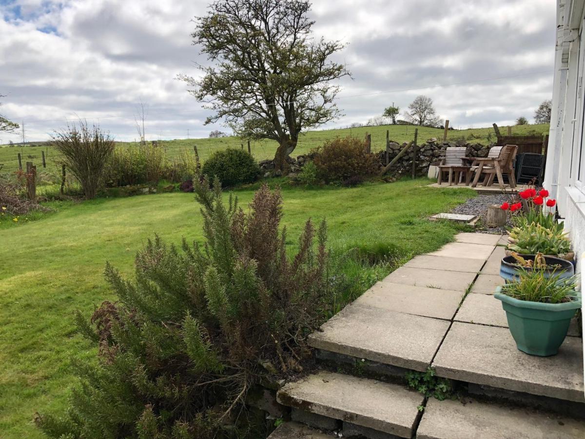 Llys Onnen - North Wales Holiday Cottage Mold Exterior foto